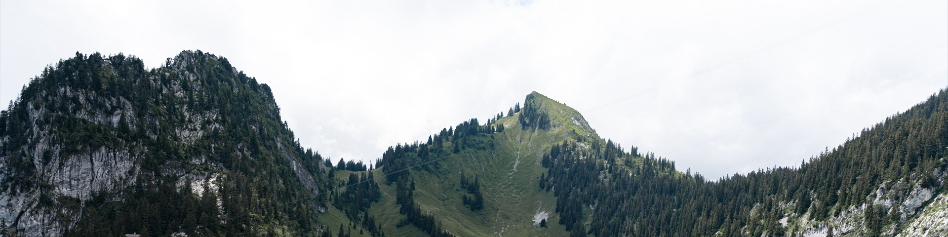 青海方扬国际旅行社有限公司驻马店学院路店